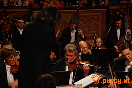 Bild 96