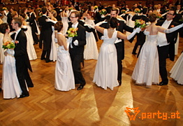 Bild 113