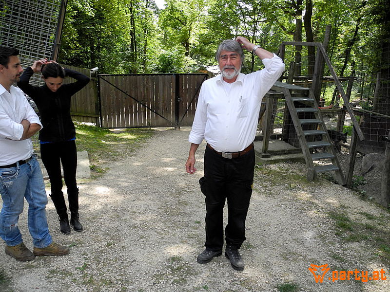 Bild 19
