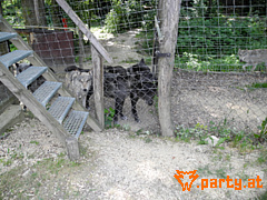 Bild 18