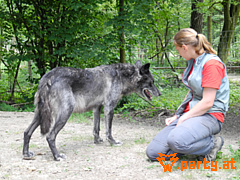 Bild 77