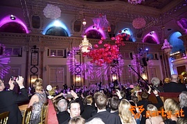 Bild 237