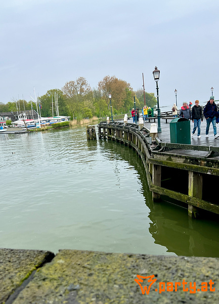 Bild 19