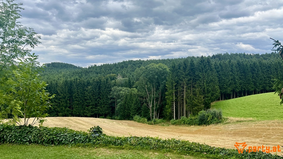 Bild 13