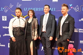 Bild 15