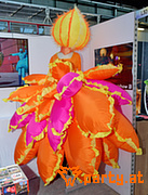 Bild 15