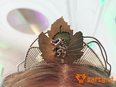 Bild 17