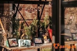 Bild 19